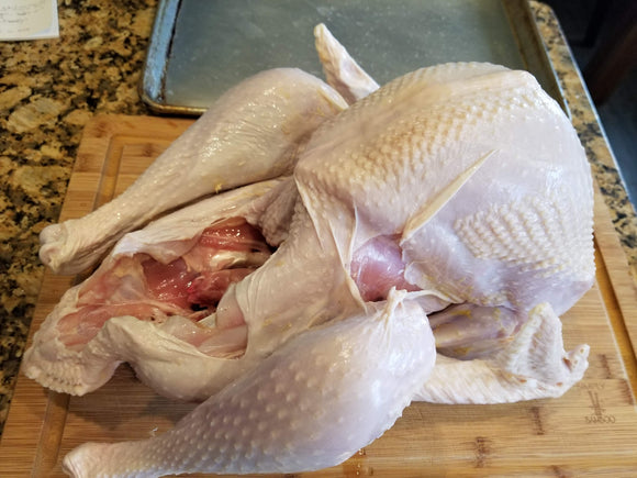 FRESH Poultry