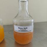 Water Kefir - multiple flavors