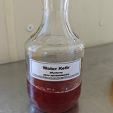 Water Kefir - multiple flavors