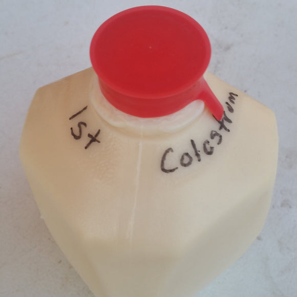 Colostrum Frozen 1st and 2nd milking
