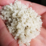 Salt Celtic Sea Salt
