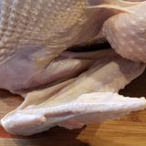 Turkey FRESH Butchered Brined Birds - Thanksgiving Week 2022