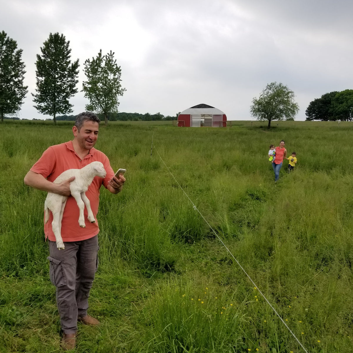 Wholesome NOVA 100% Grassfed A2 Amish Acres – Alexandria Pickup photo 10