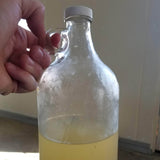 Water Kefir - multiple flavors