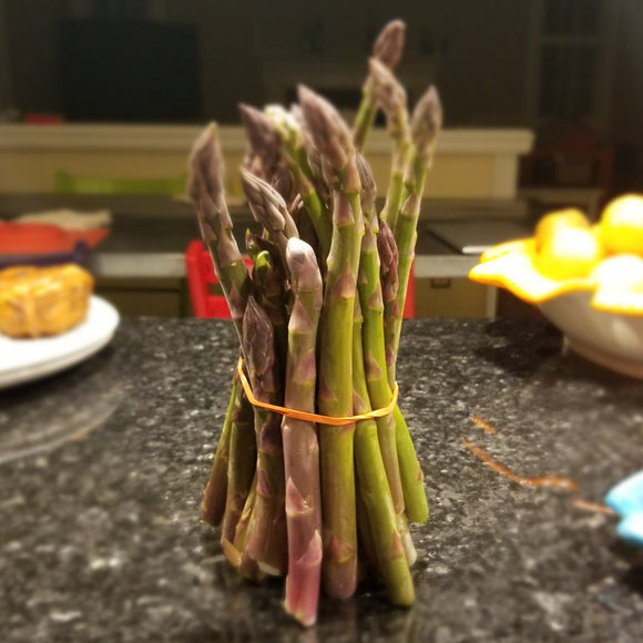 Asparagus Fresh Picked