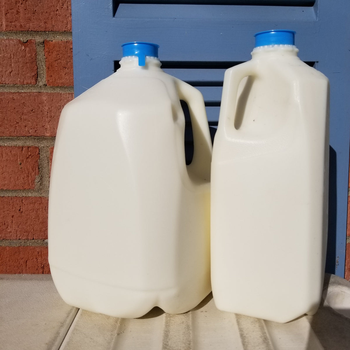 Wholesome NOVA 100% Grassfed A2 Amish Acres – Alexandria Pickup photo 14