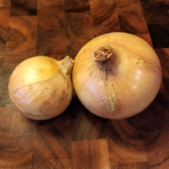 Onions - Sweet Cured