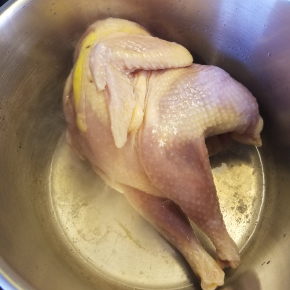 Chicken Stew Hen