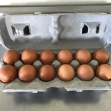 Eggs - Chicken Corn & Soy Free