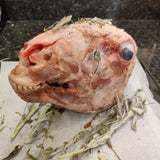 Lamb Head with Brains