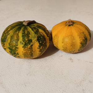 Pumpkins - Gourds for decoration