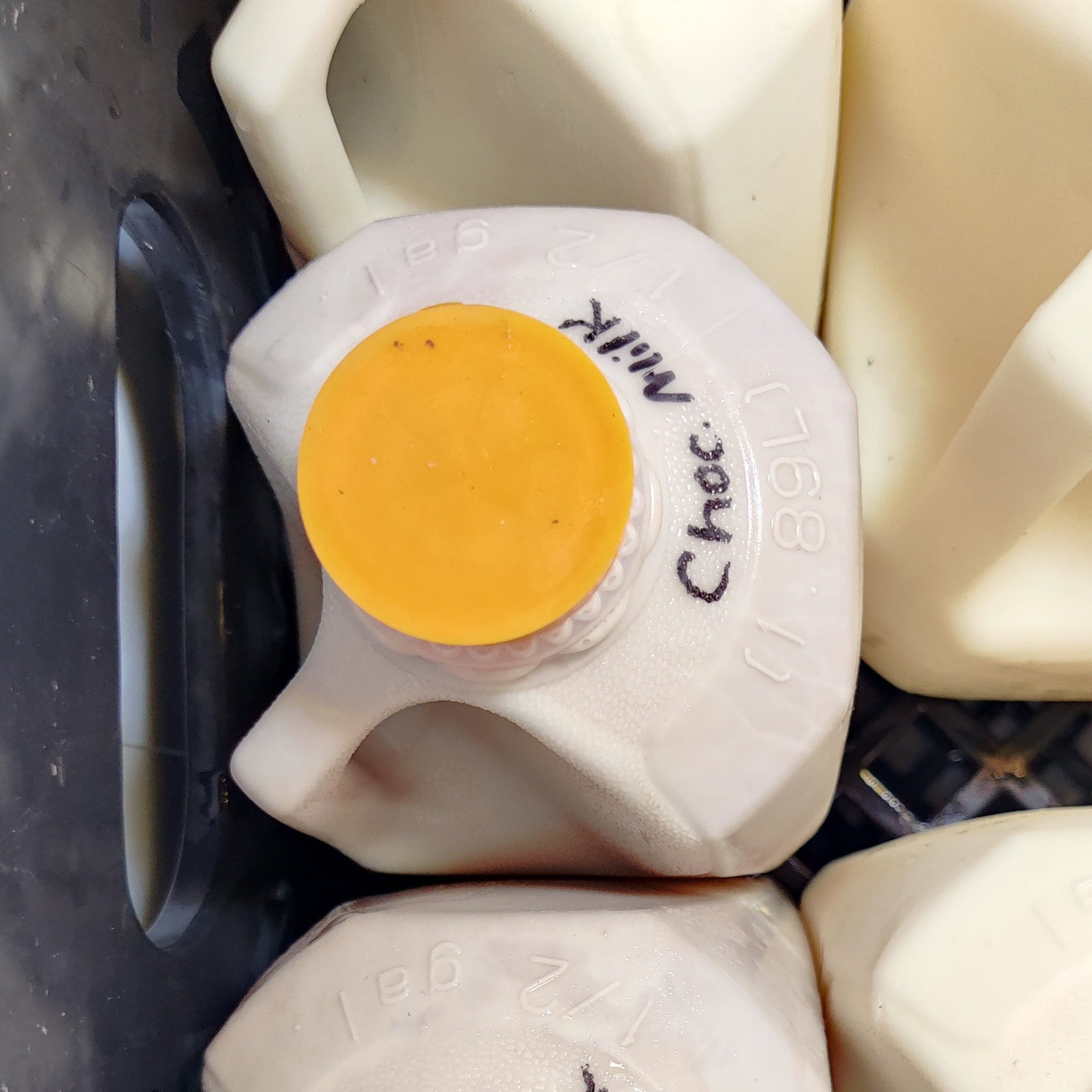 Chocolate Milk – wholesomenova