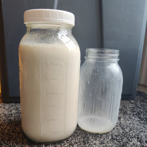 Milk WHOLE A2 Cow GLASS Jars