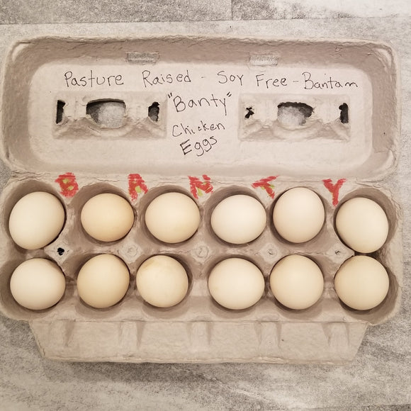 Eggs - Banty (Bantam) Chickens