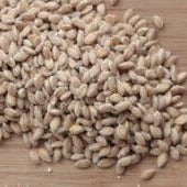 Organic Einkorn Wheat Berries - 10 Lb Bag, Whole Grain, CCOF & USDA Certified